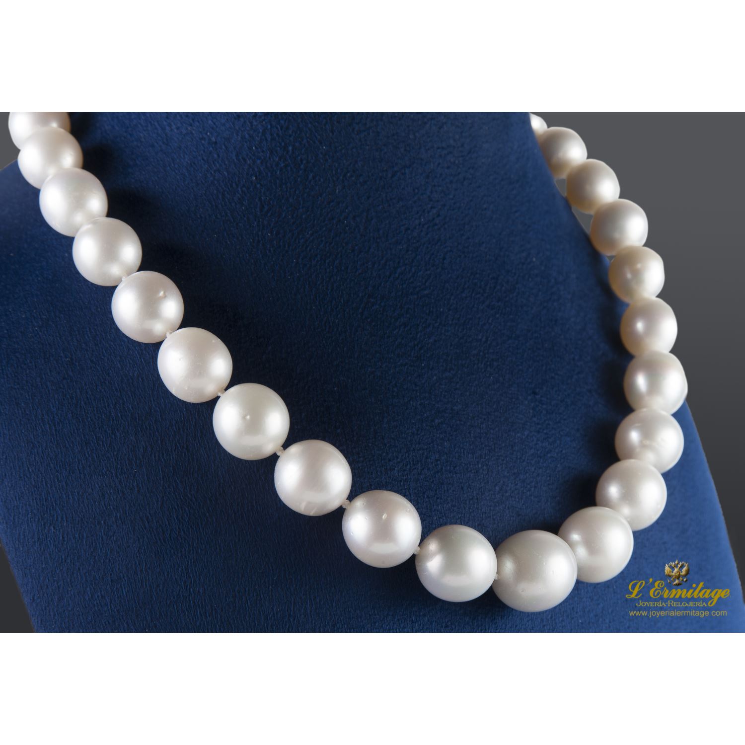 Collar perlas australianas degradé. 45 Cm largo.