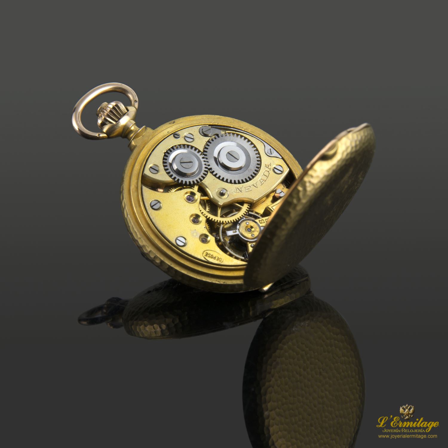 Reloj nevada de bolsillo  