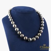 COLLARES<BR>COLLAR PERLAS NEGRAS TAHITÍ EN DEGRADE