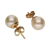 Pendientes de perlas montadas en oro amarillo.